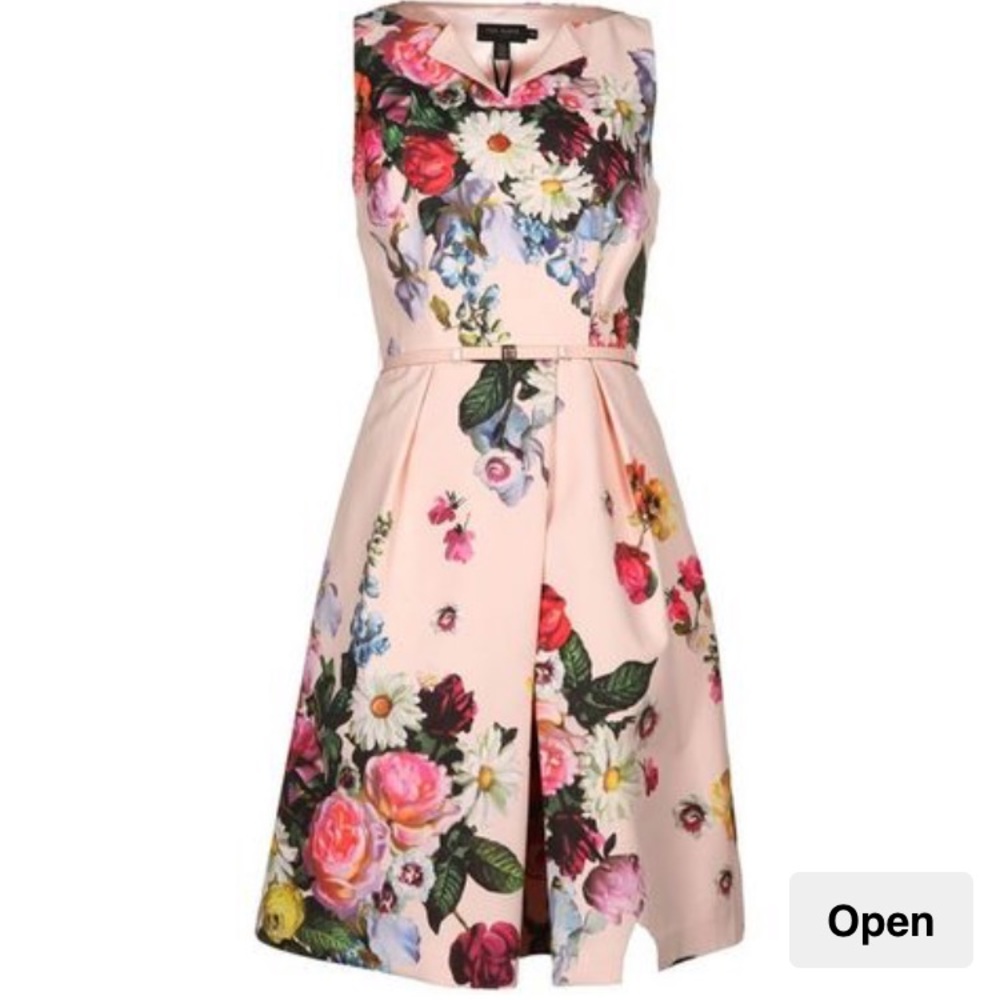 Ted Baker London 'Nude Oil Painting' Floral Dress